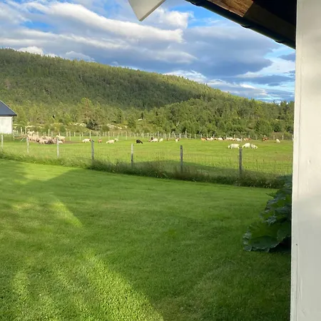 Torresvangen Tynset